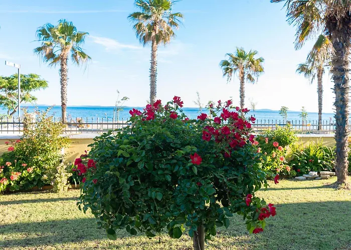 House Inga Apartment