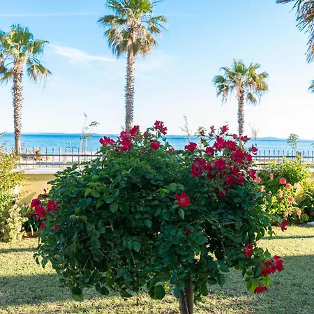 House Inga Apartament